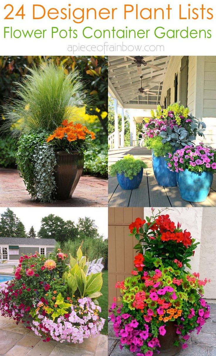 Beautiful Summer Container Garden Flowers Ideas Homekover