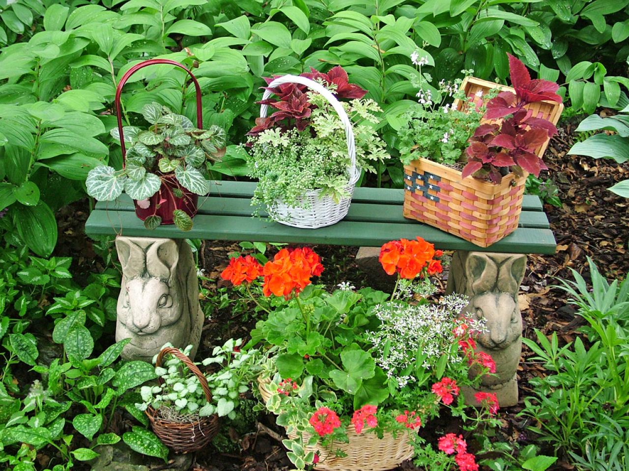 Container Gardening Combination Ideas