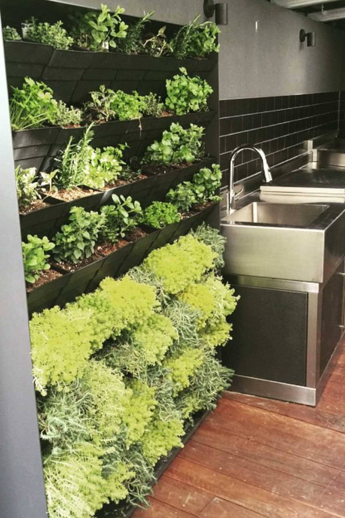 Different Balcony Herb Garden Ideas