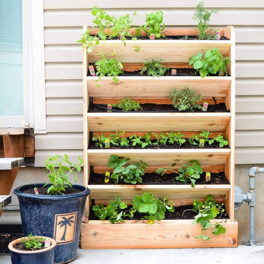 Gorgeous Vertical Garden Ideas
