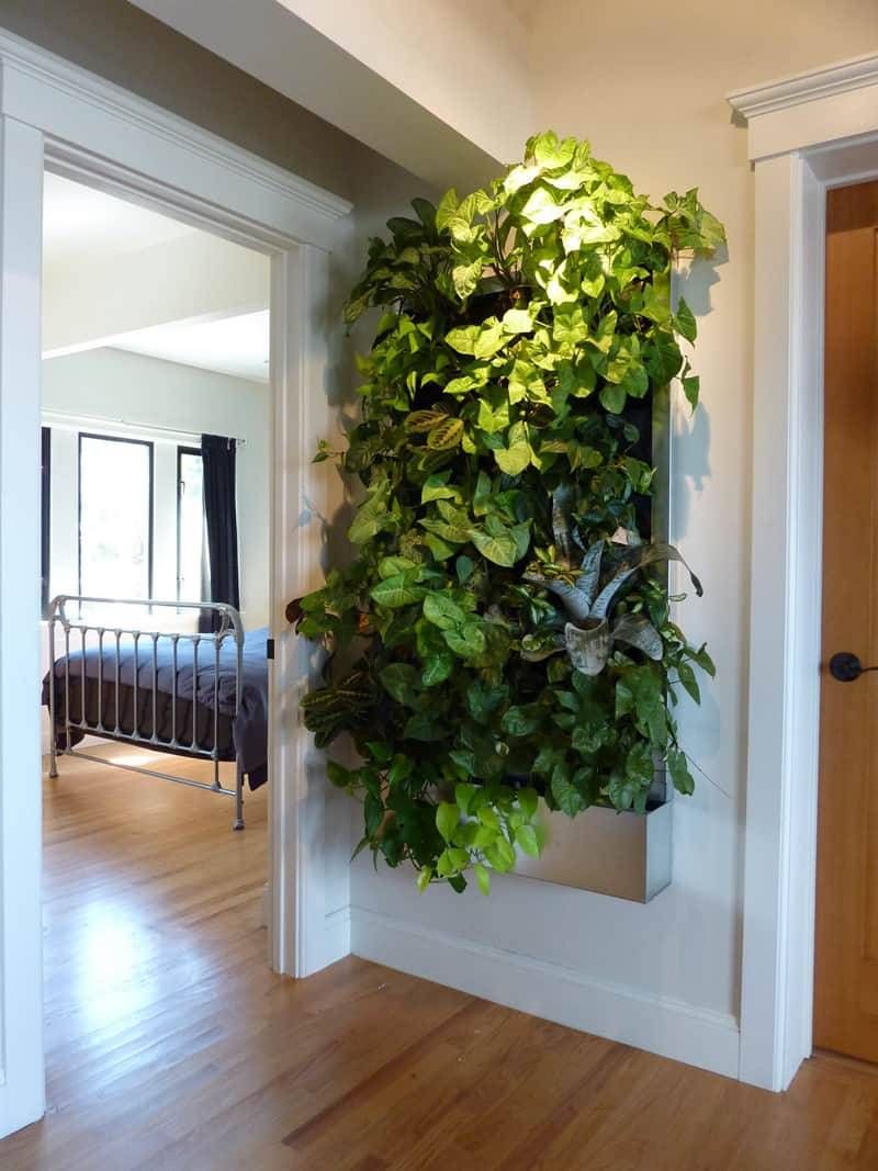 Diy Living Walls Kits