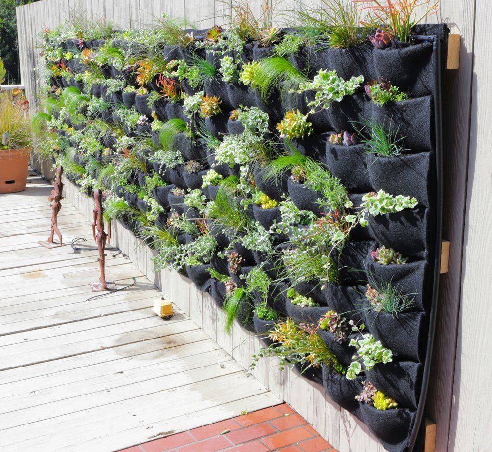 Wall Garden Diy Vertical Wallgarden System