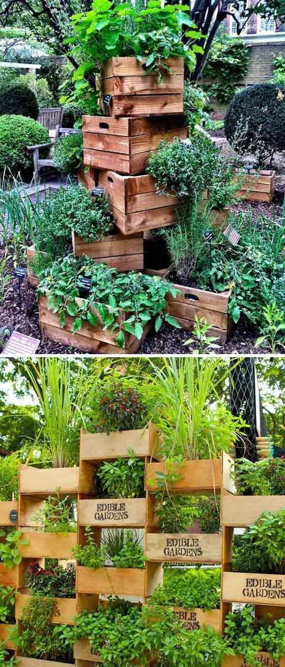Diy Vertical Herb Garden Concepts