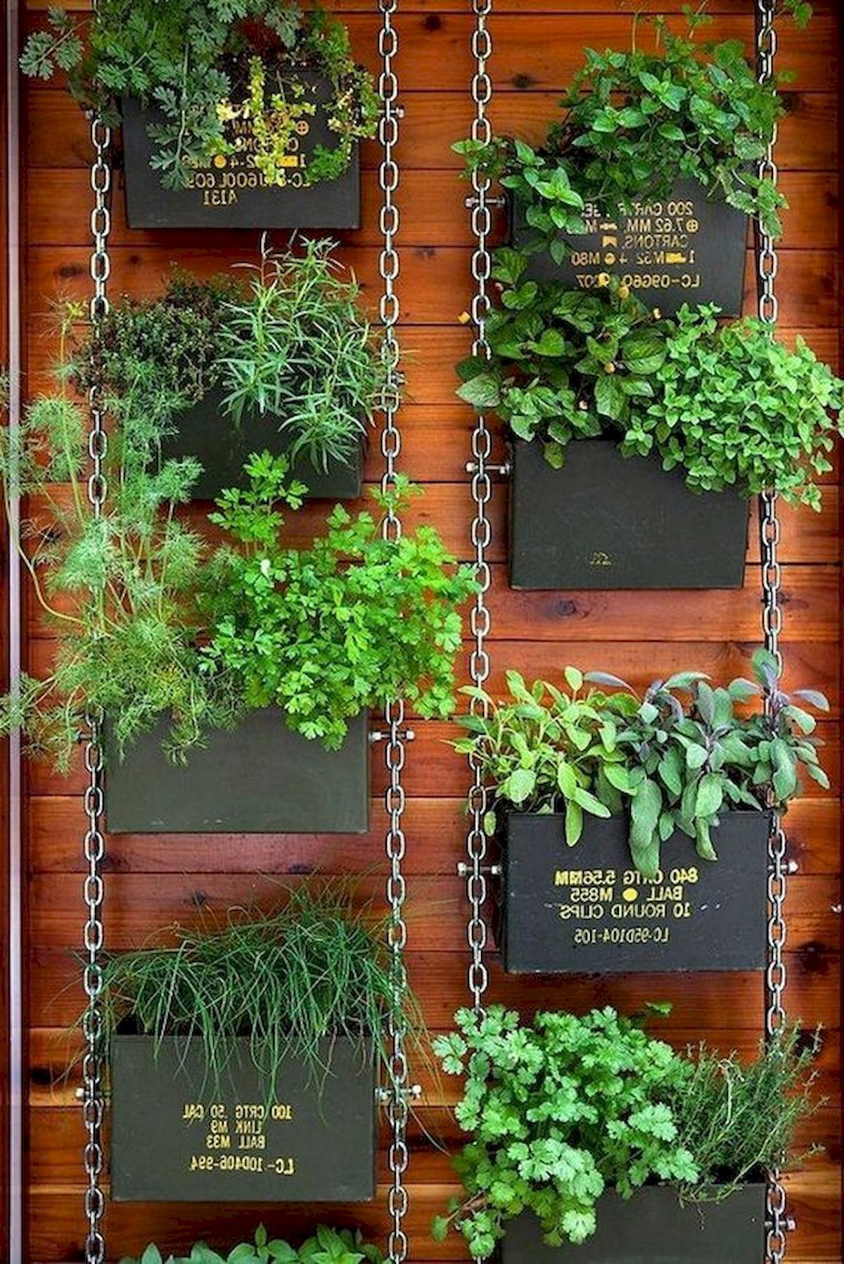 A Vertical Herb Garden