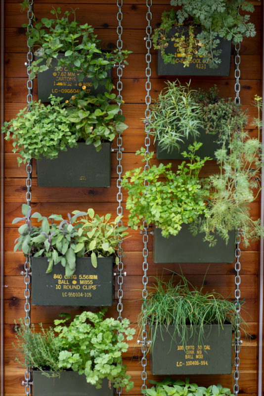 Diy Vertical Herb Garden