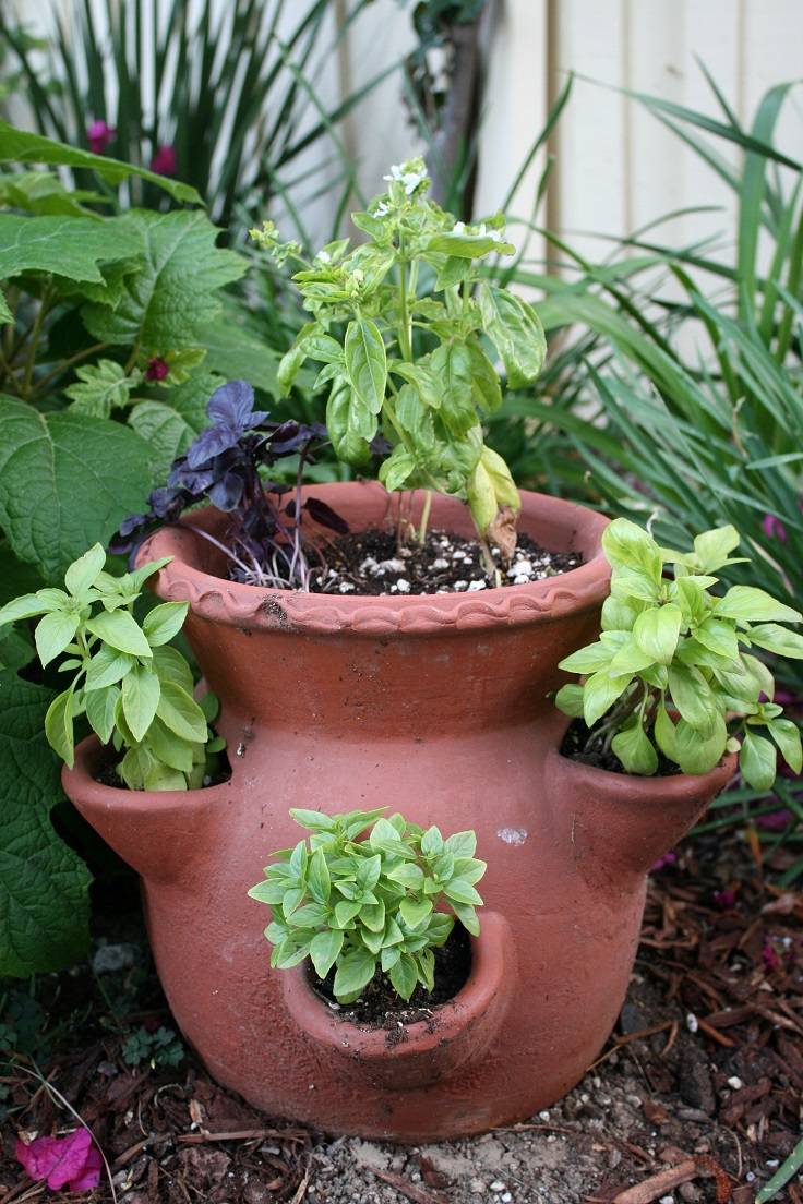 Diy Potted Herb Garden Ideas Simphome