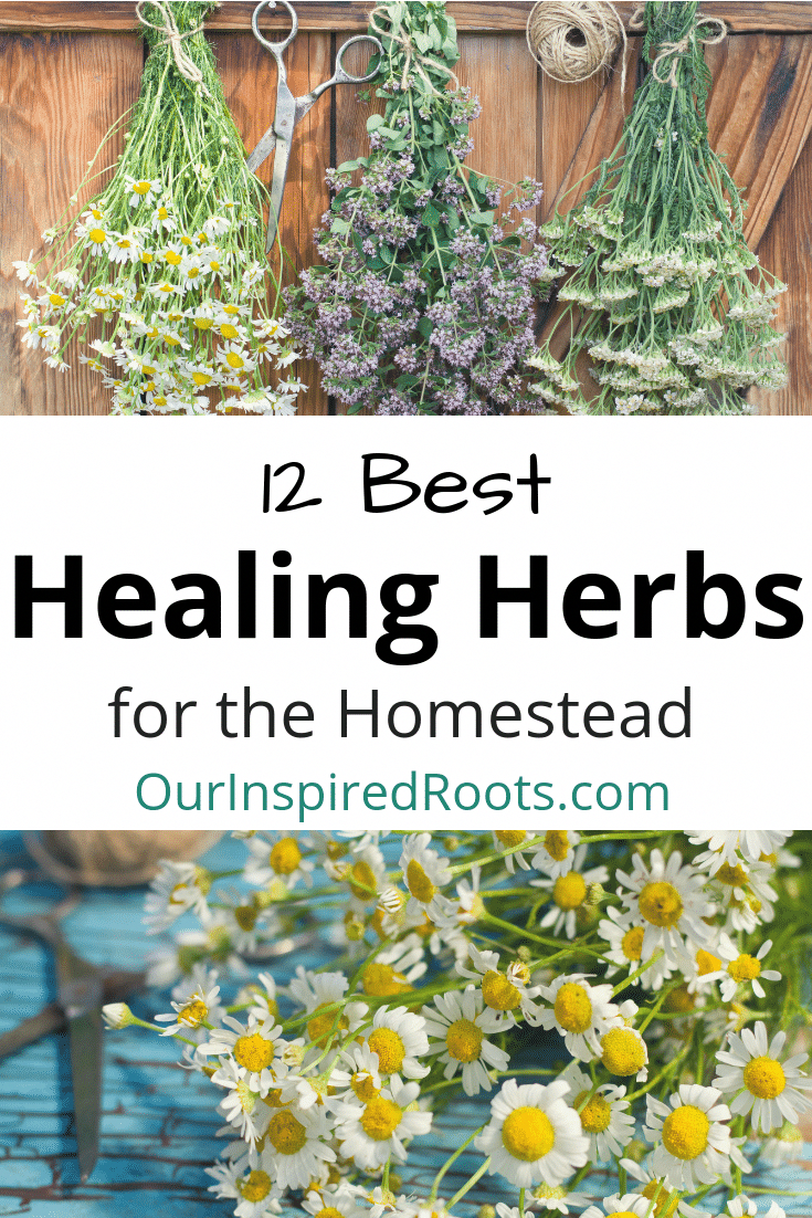 Mills Herb Garden Tour Garden Tours