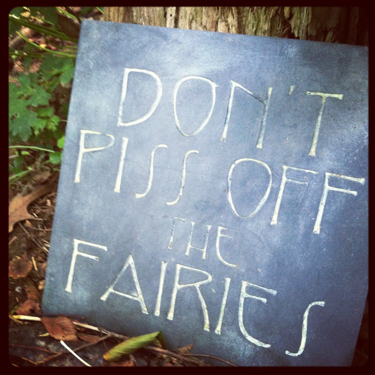 Herb Garden Quotes