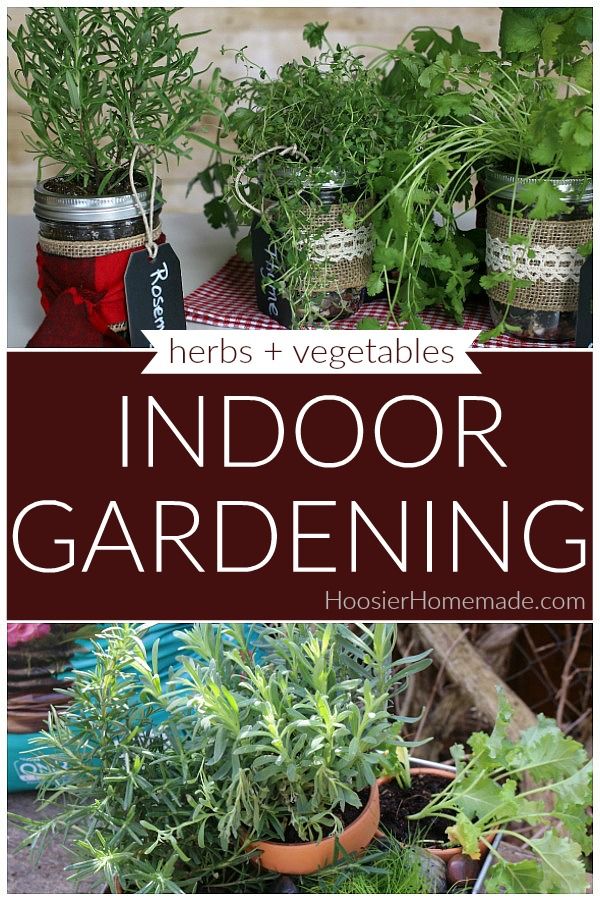 Sacred Garden