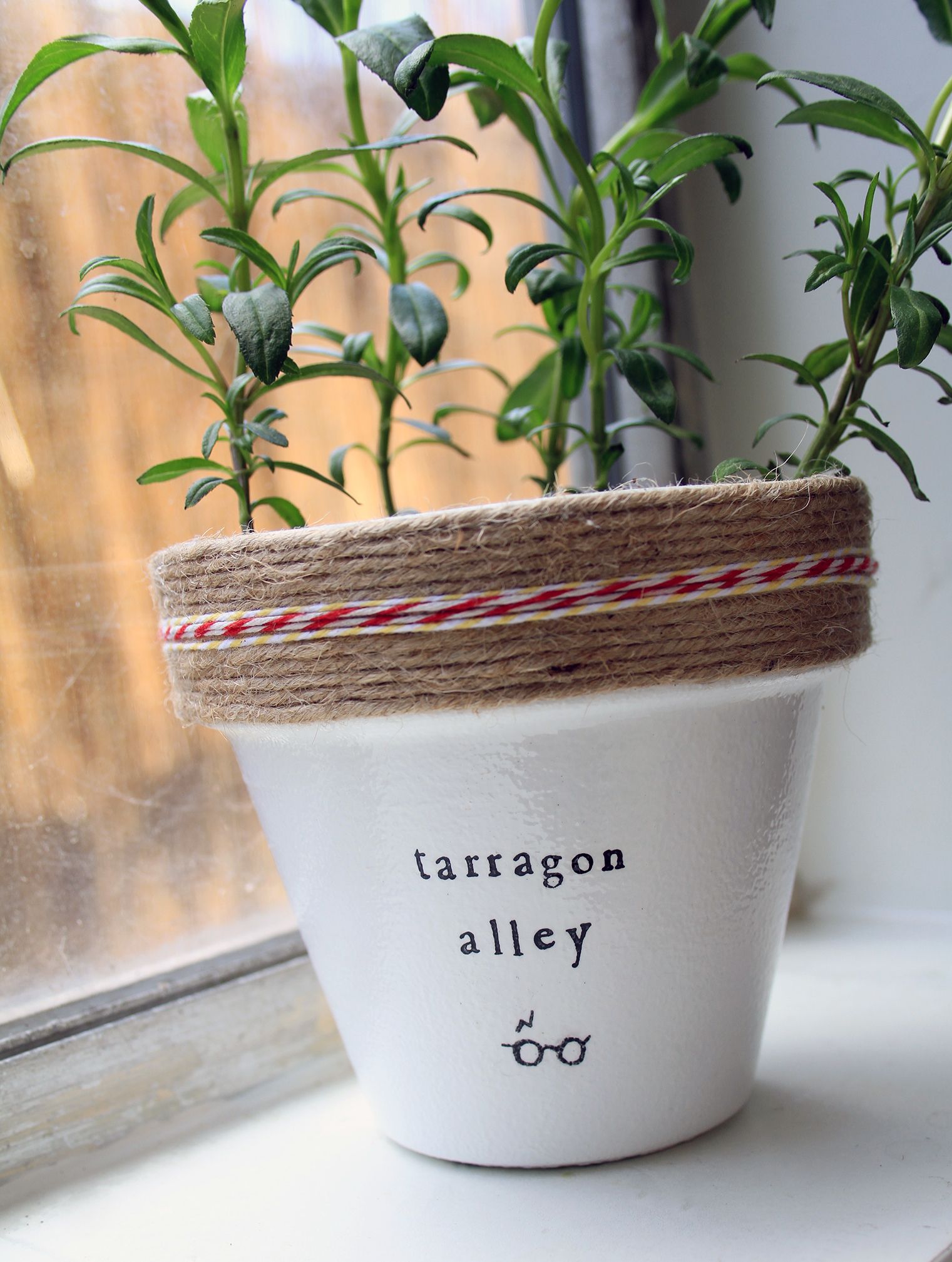 Plant Themed Puns