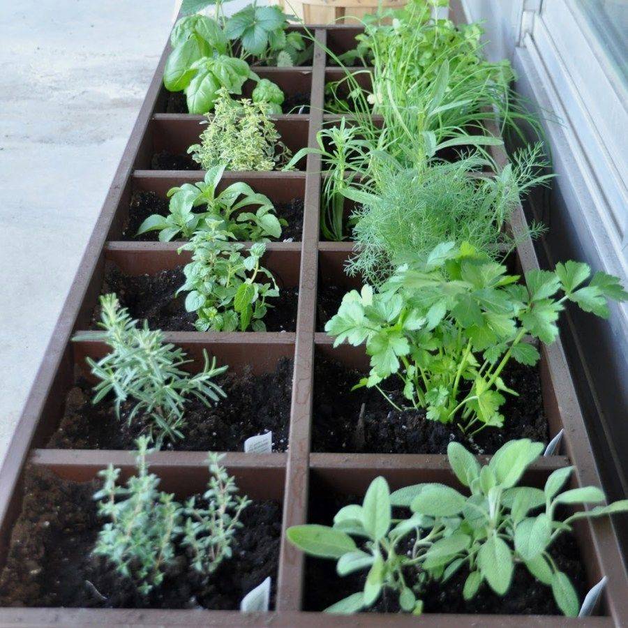 Awesome Indoor Herb Garden Ideas