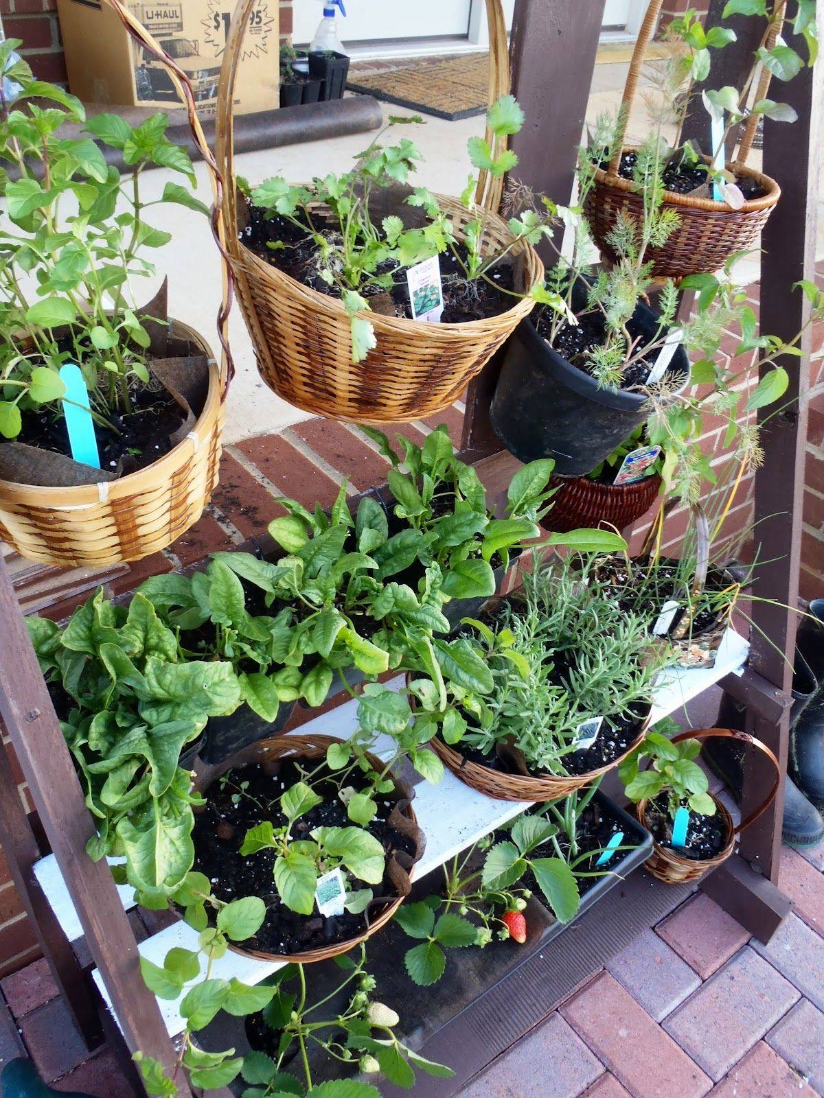 Herb Garden Design Pictures Home Ideas Modern Home Design