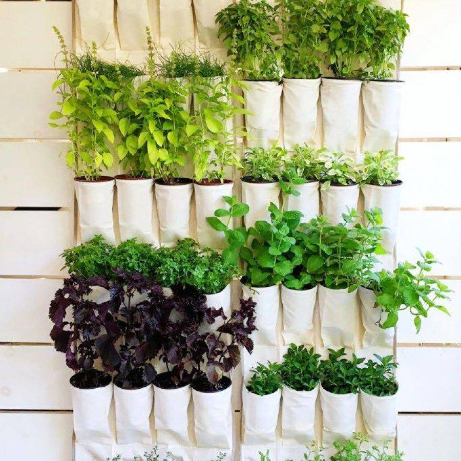 23 Basic Herb Garden Ideas You Cannot Miss SharonSable