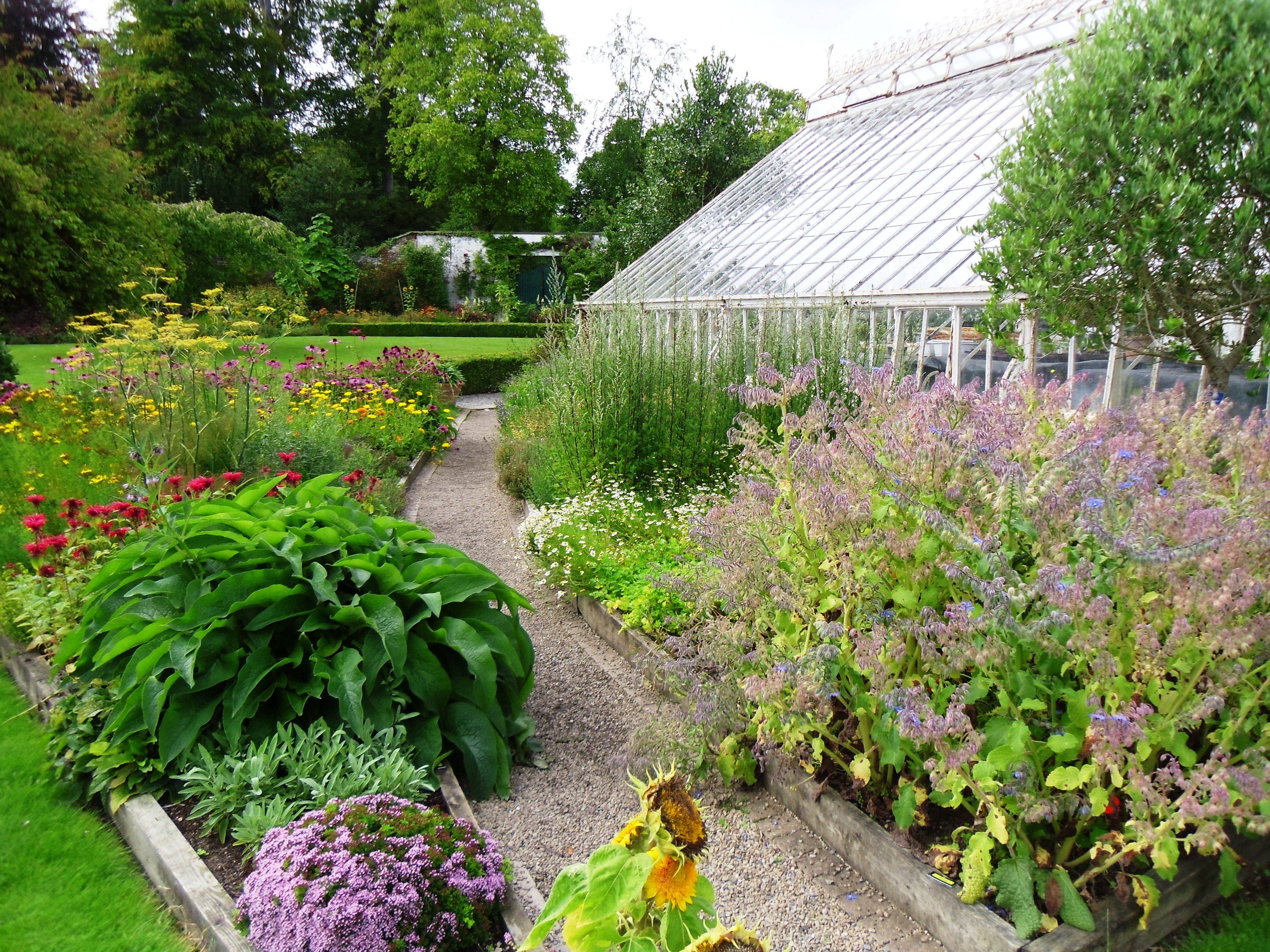 Your Vertical Herb Garden Gardening Viral