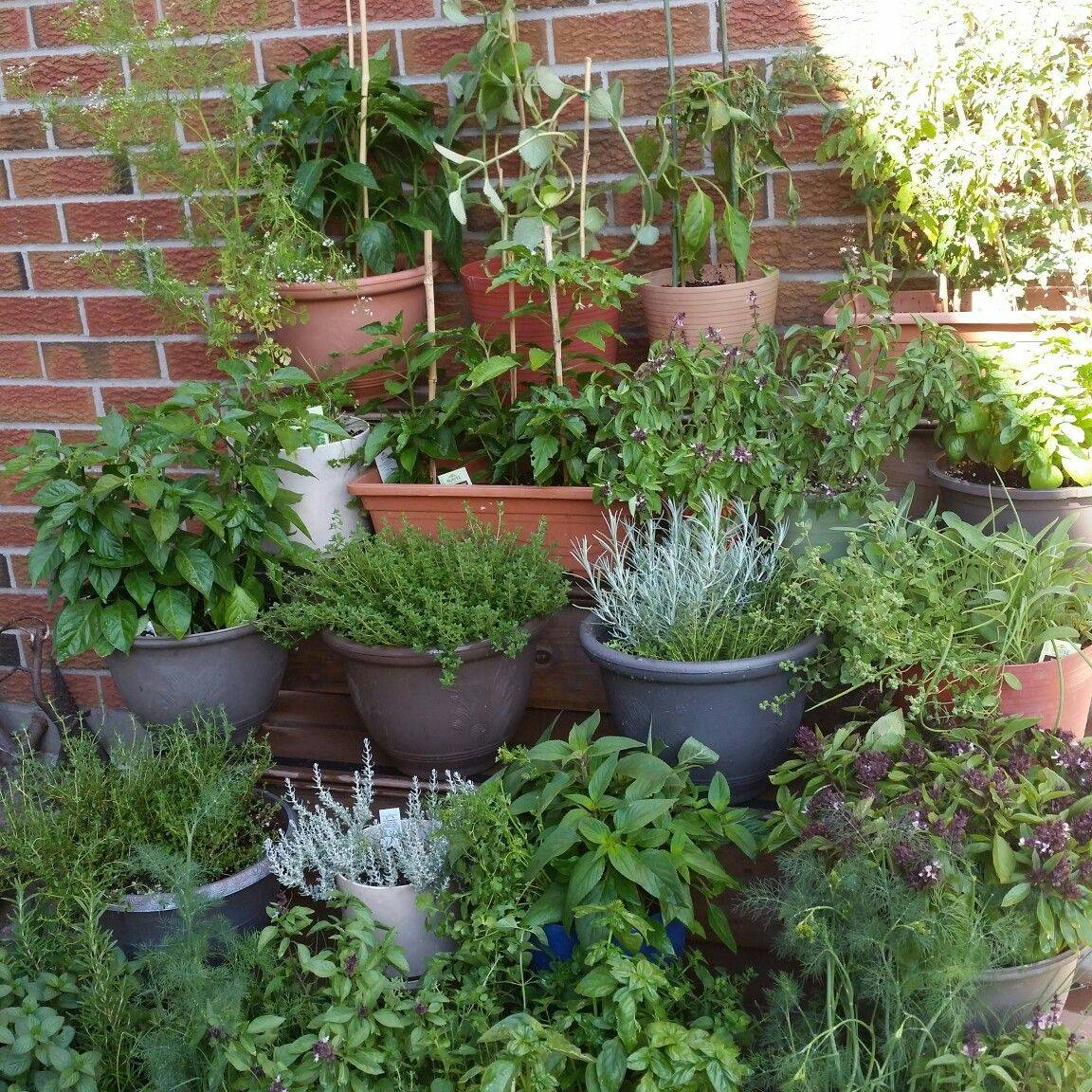 Herb Planter Ideas