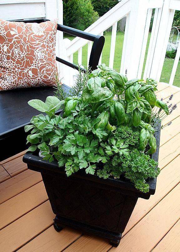 Stunning Container Vegetable Garden Design Ideas