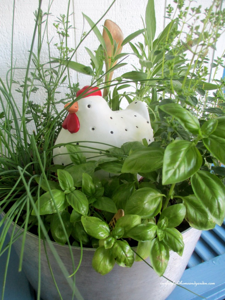 Beautiful Container Gardening Ideas Page