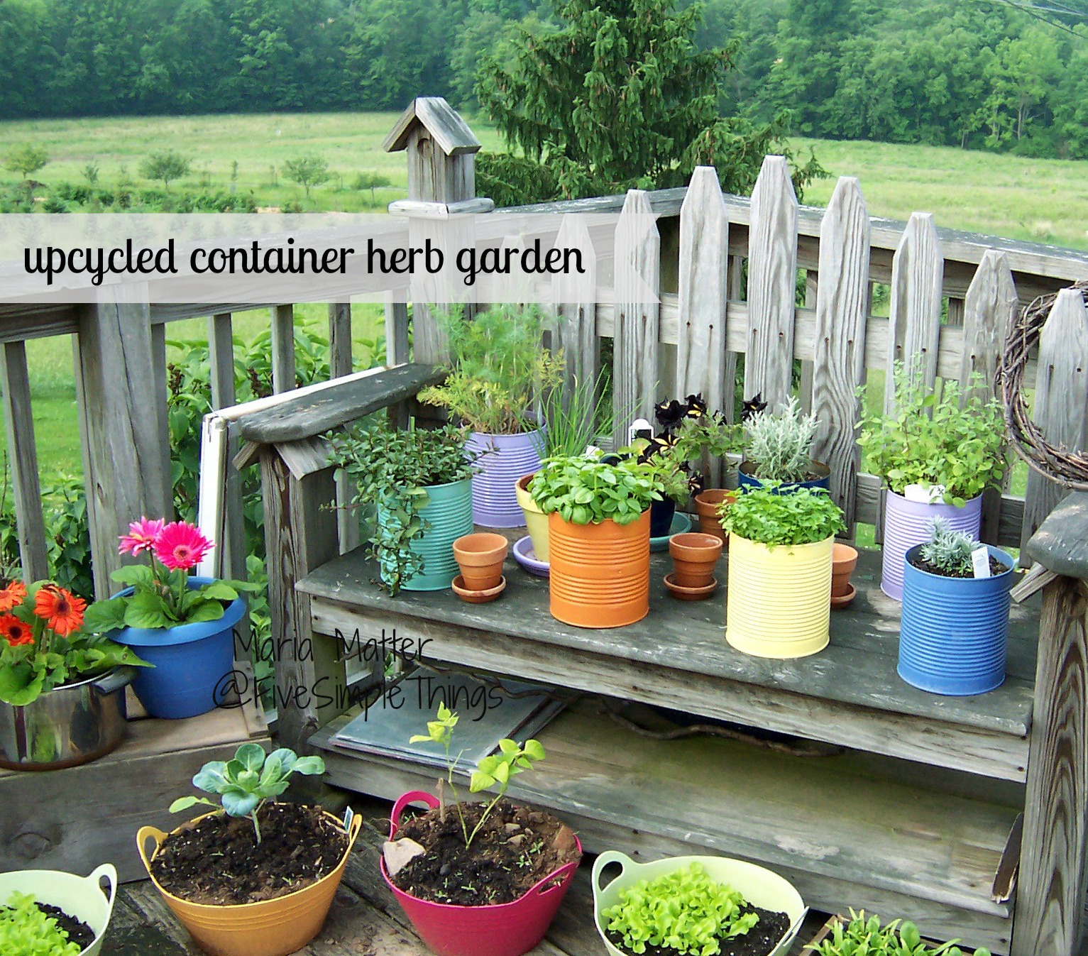 Apartment Herb Garden