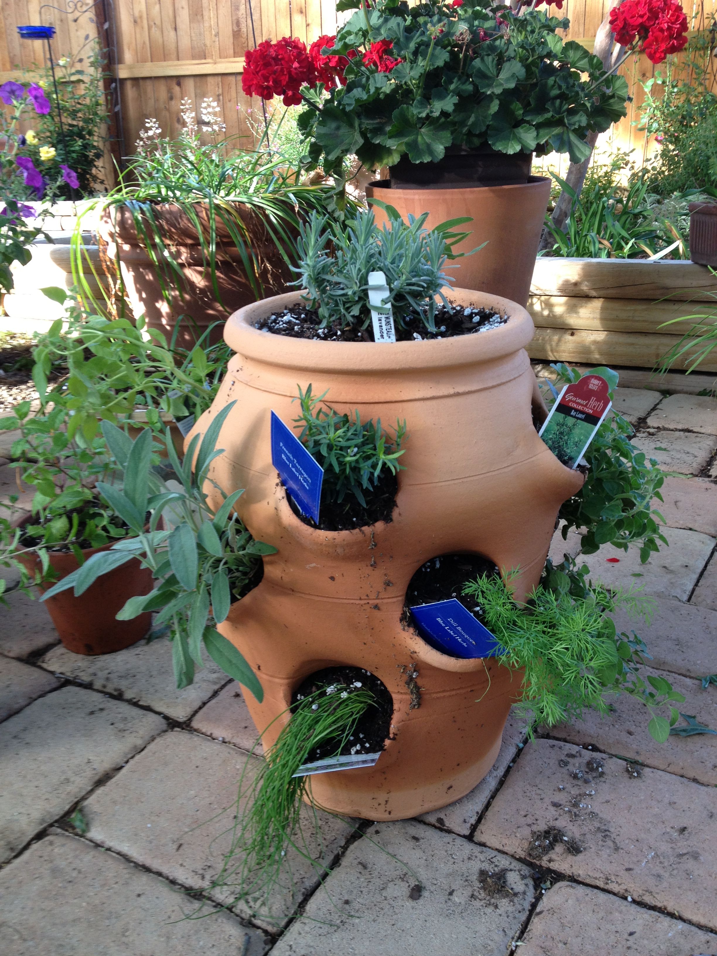 Container Gardening