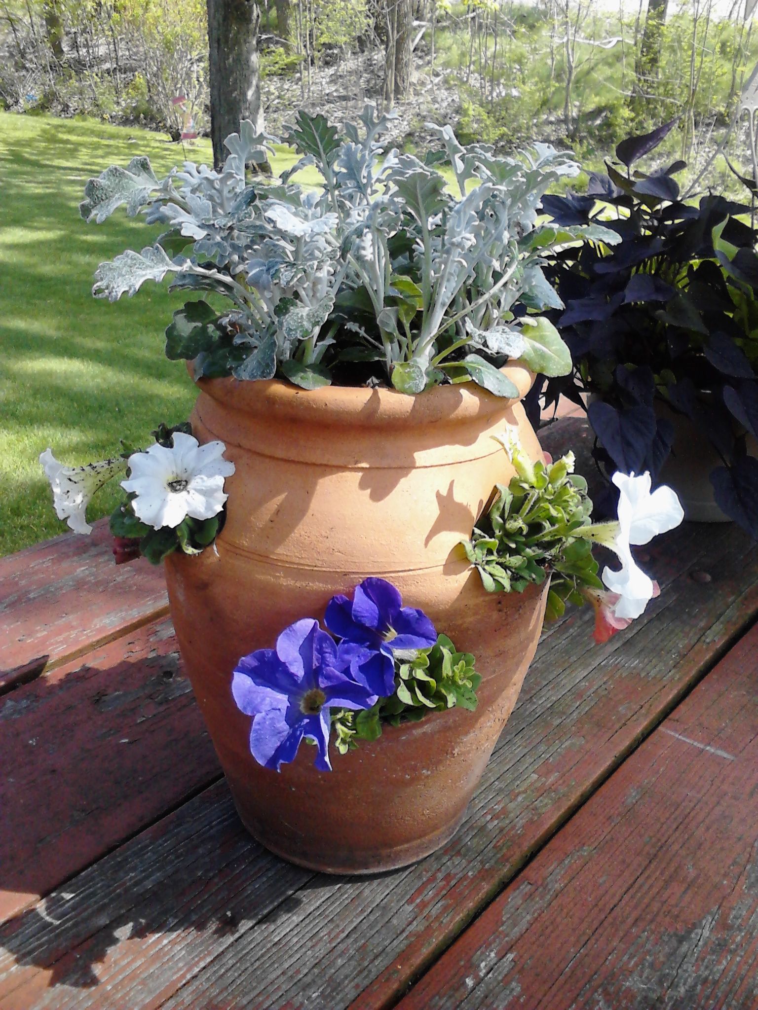 One Container Garden