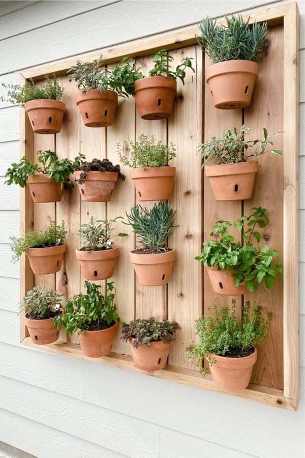 Container Garden Tips Kinds