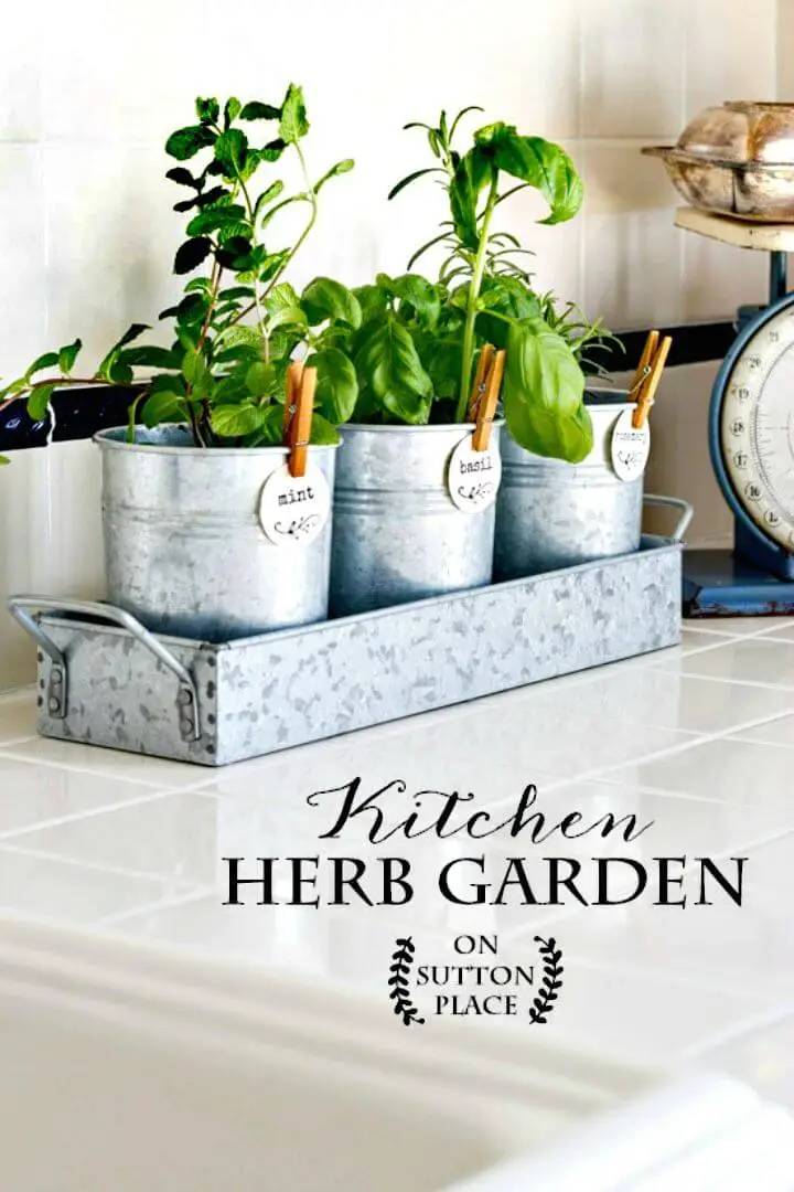 Kitchen Herb Garden Ideas Fit