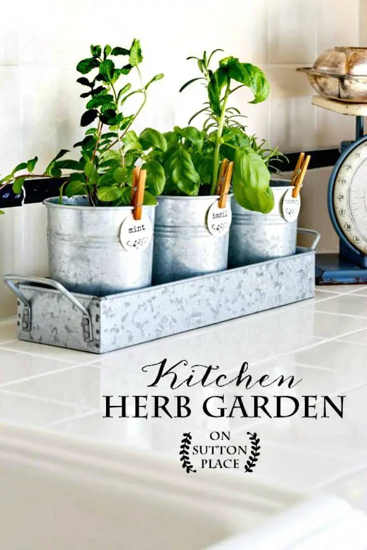 18 DIY Backyard Kitchen Herb Garden Ideas To Try This Year SharonSable