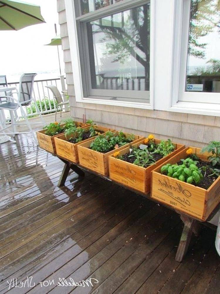 Kitchen Countertop Herb Garden Ideas