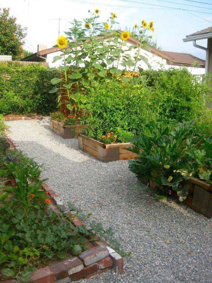 Best Herb Garden Ideas