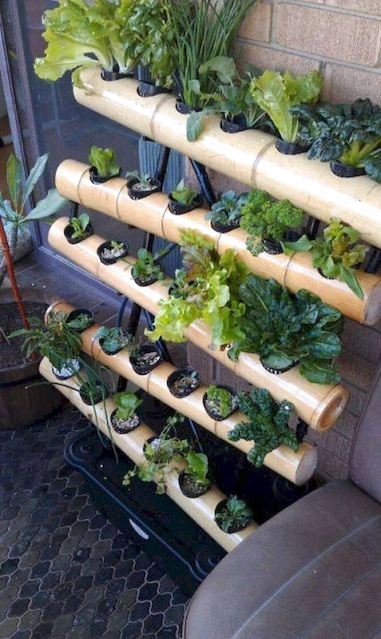 Simple Hydroponic Garden Ideas