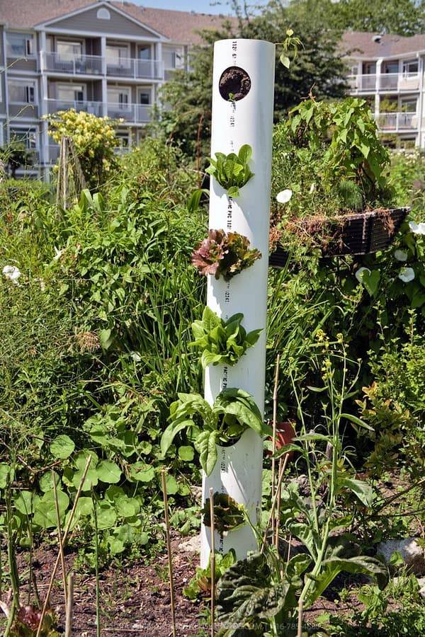 Vertical Vegetable Garden Diy Pvc Pipes