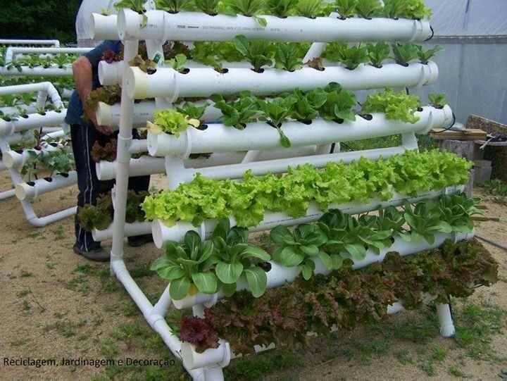 Top Cool Vertical Gardening Ideas Top Inspired