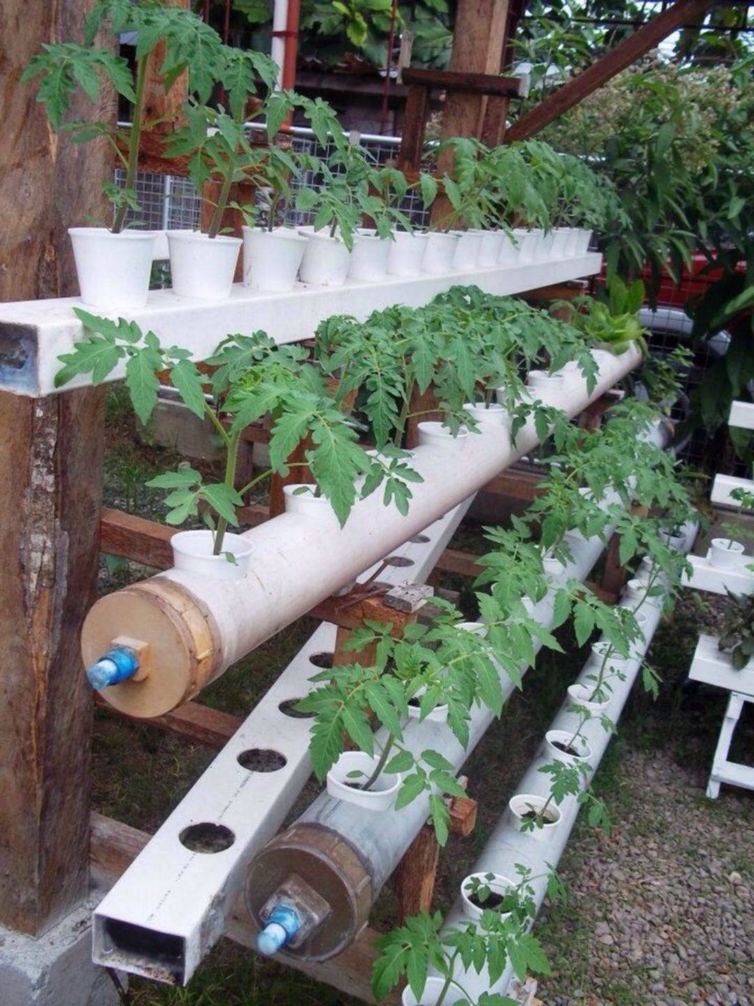 Awesome Indoor Hydroponic Wall Garden Design Ideas Hydroponic