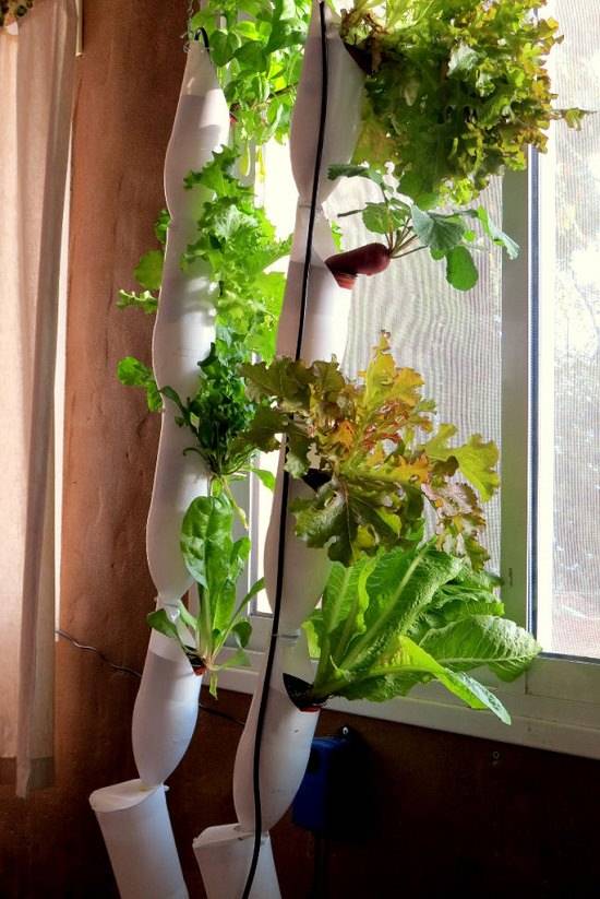Inspiring Vertical Garden Ideas