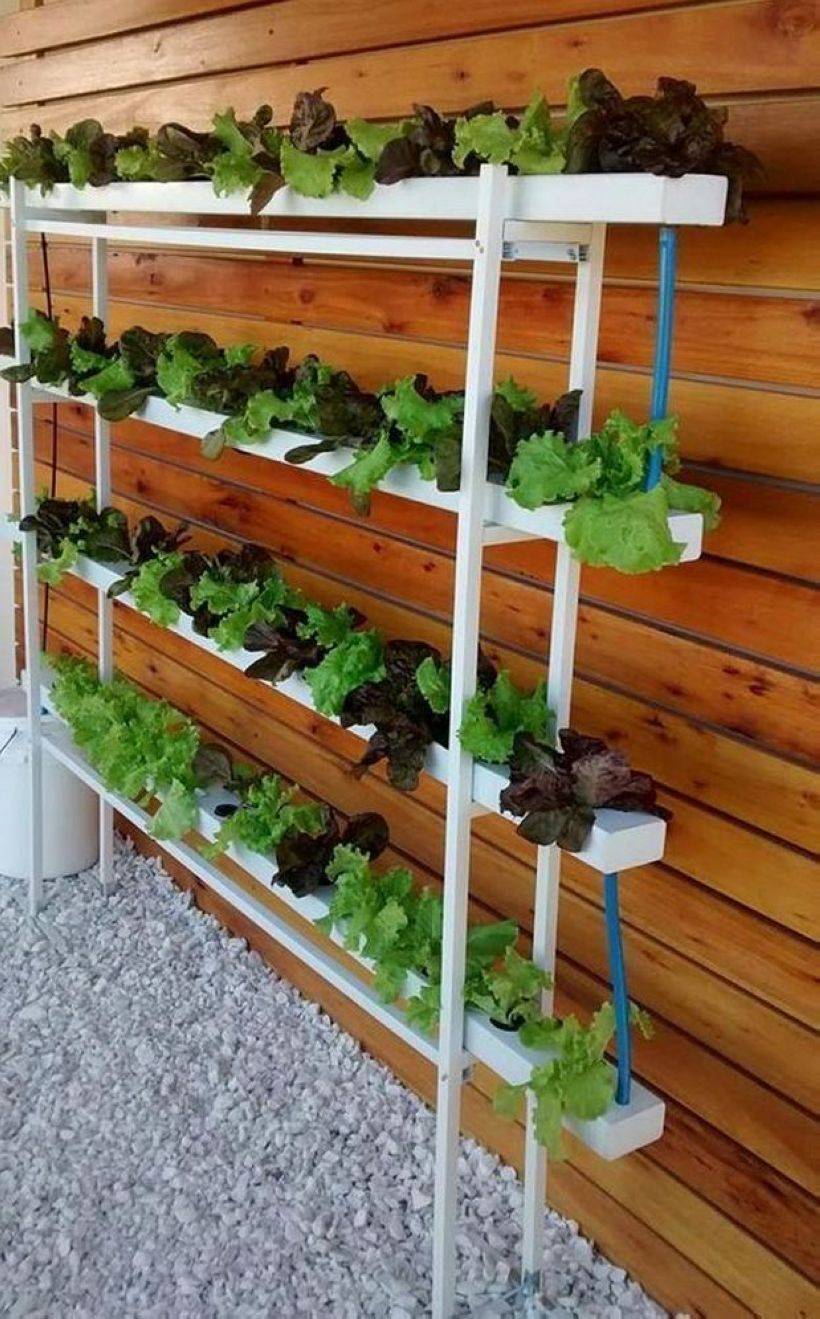 Favourite Vegetable Hydroponic Garden Ideas