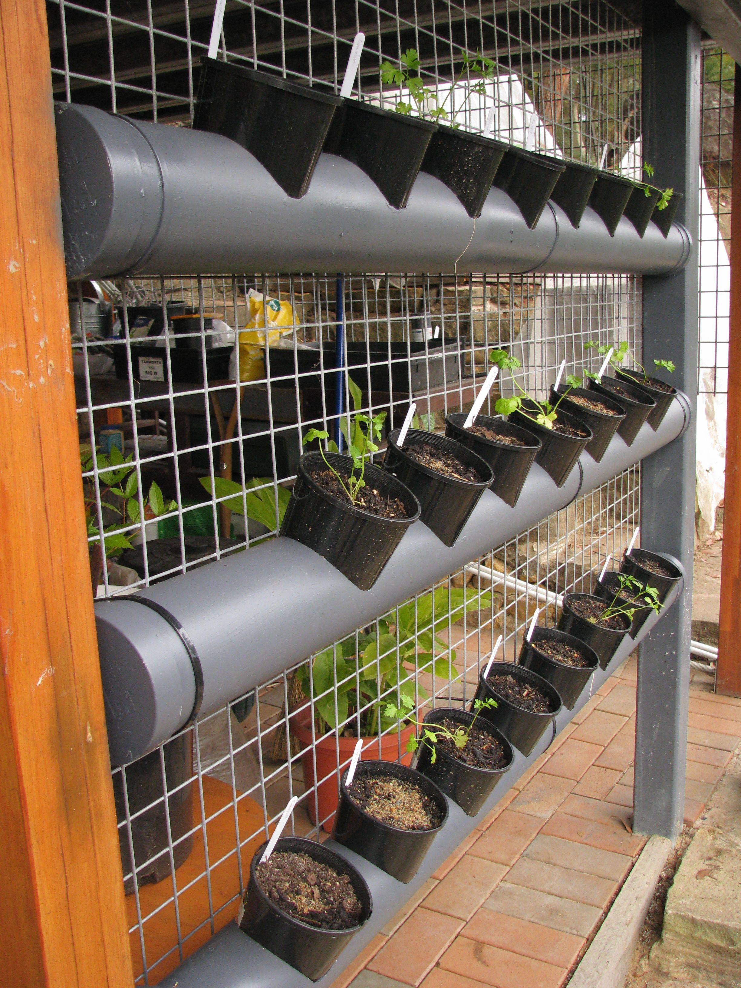 Hydroponic Garden Out Of Pvc Garden Design