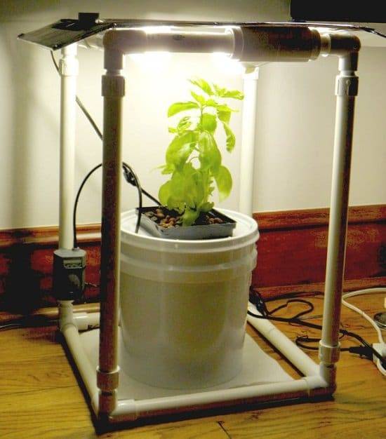 Inspiring Hydroponic Gardening Ideas
