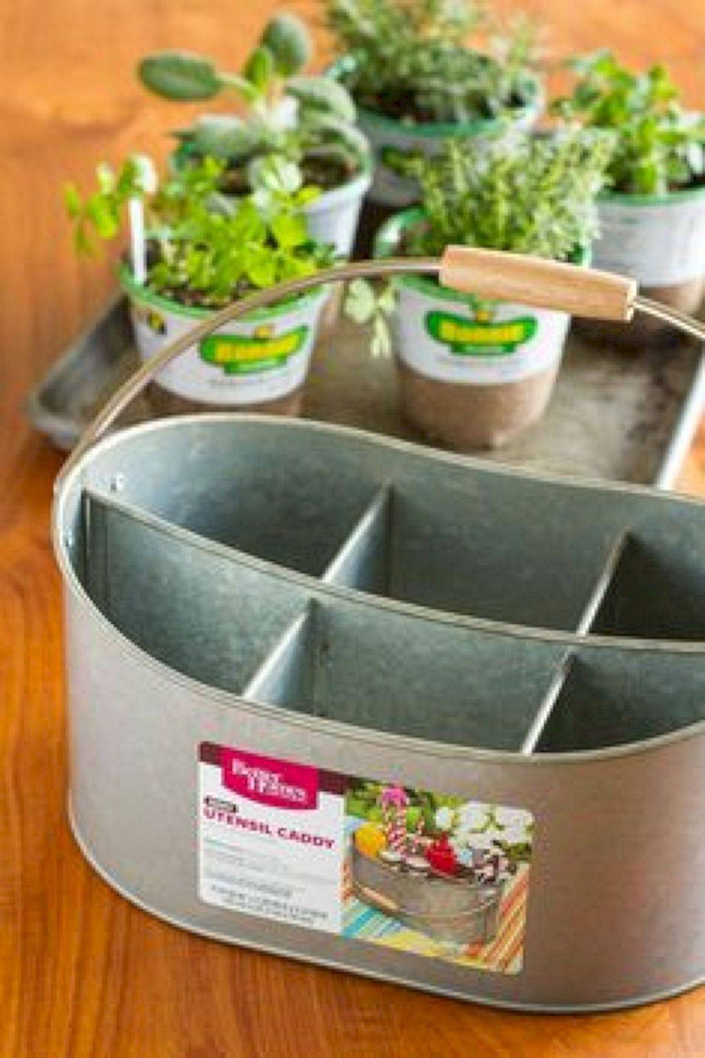 Creative Mini Indoor Garden Ideas