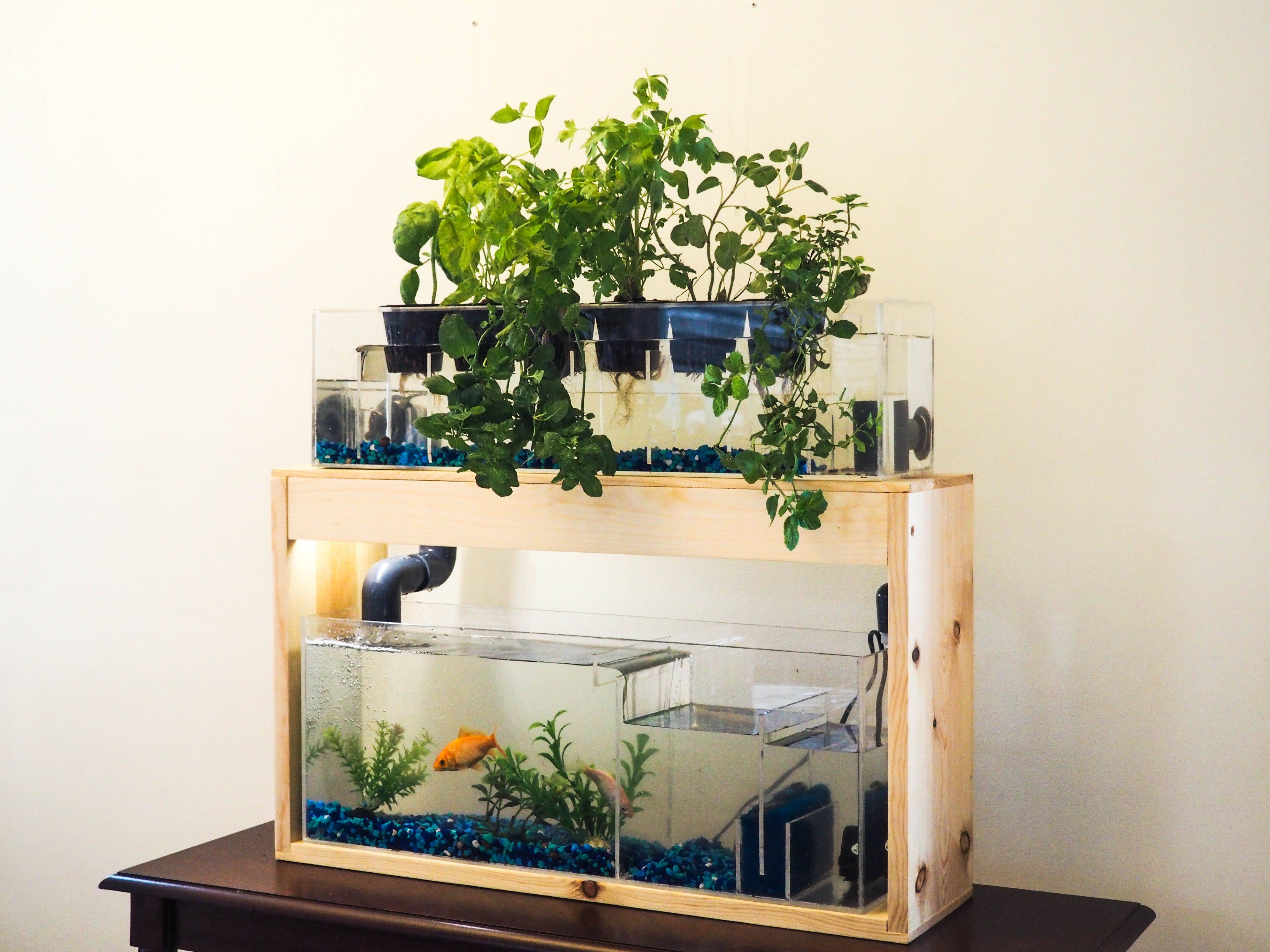 24 DIY Hydroponic Herb Garden Ideas To Consider SharonSable