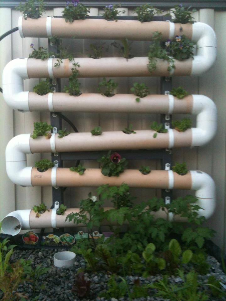 16 4 PVC Pipe Hydroponic Garden Ideas You Should Look SharonSable