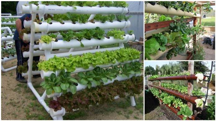 Garden Diy Greenhouse Pvc Pipes