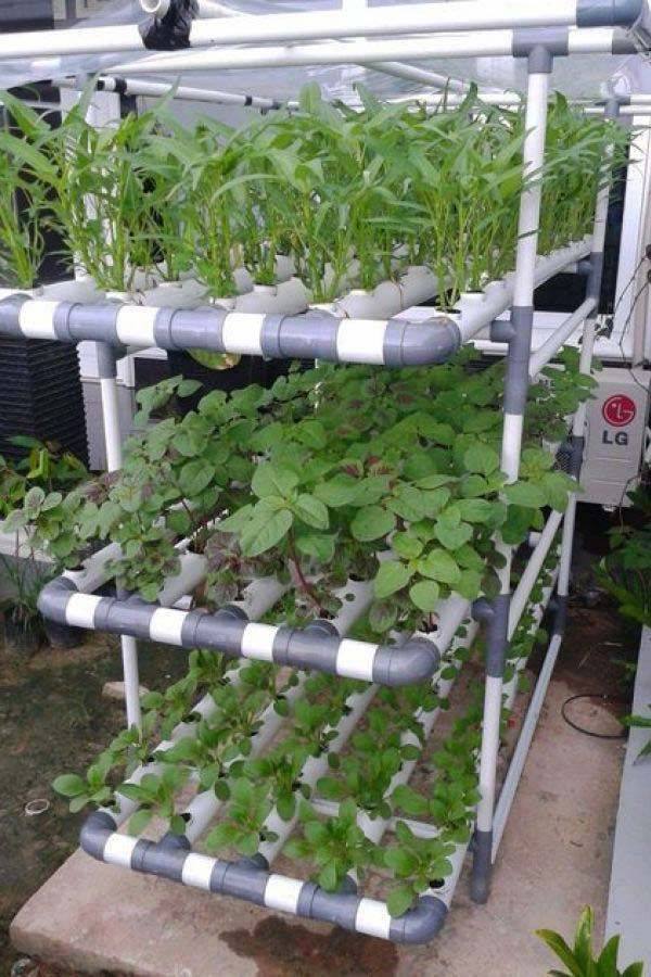 Diy Hydroponic Vertical Garden Ideas