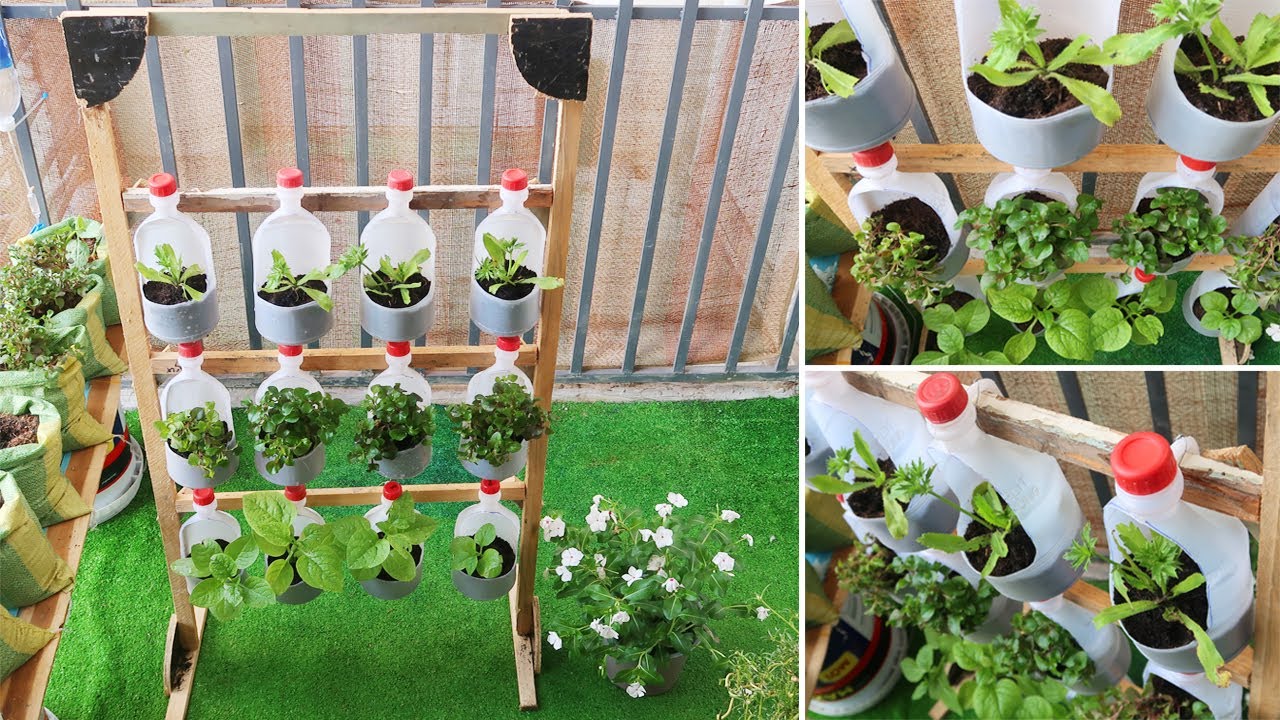 Hydroponic Garden Ideas