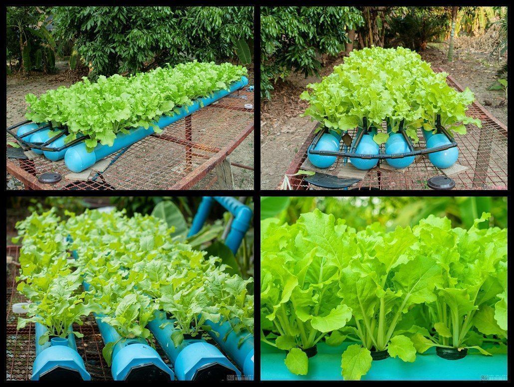 A Garden Vertical Garden Diy