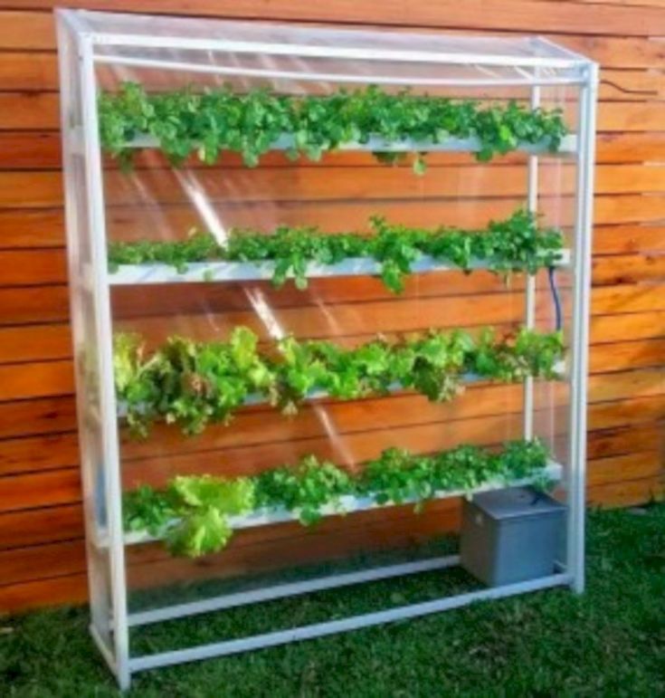 Easy Diy Pvc Hydroponics Backyard System