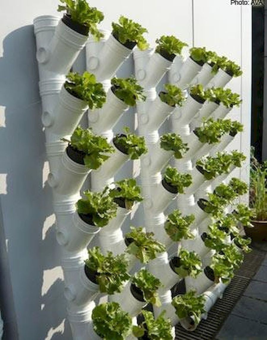 Small Pvc Pipe Vertical Vegetable Garden