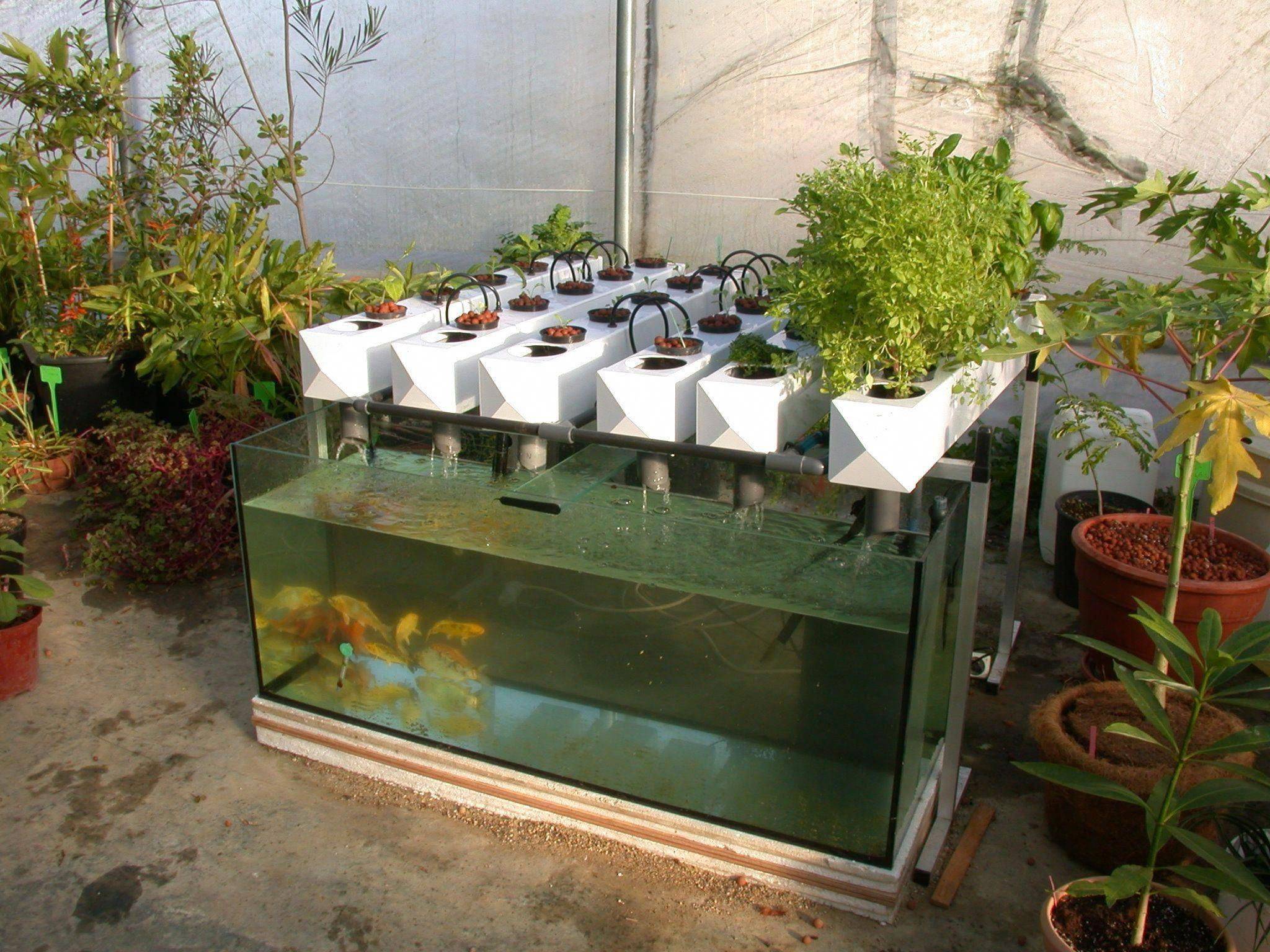 Hydroponicgardens Aquaponics Greenhouse