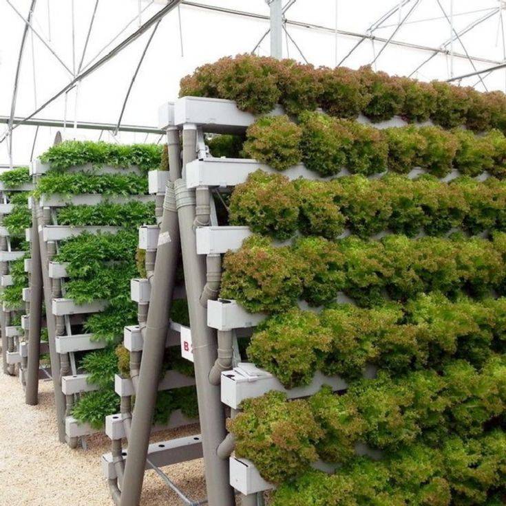 Best Hydroponic Gardening For Beginners Design Ideas Garden In