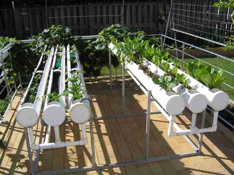 Best Hydroponic Gardening For Beginners Design Ideas Garden In