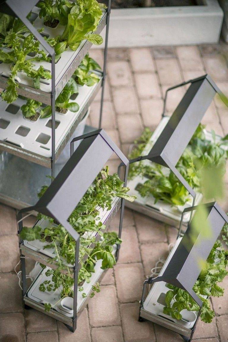 Great Hydroponics Garden Ideas Httpsmodernhousemagzcom